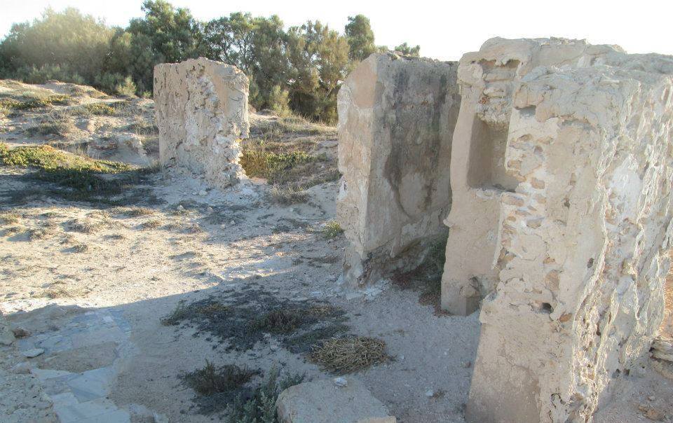 الفسيفساء الليبية