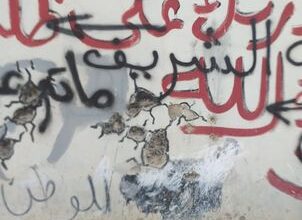 بالصورة والقلم !