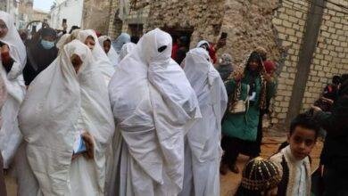 أسرة الفراشية