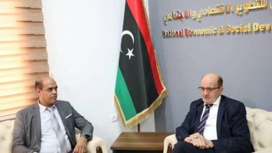 المجلس الوطني للتطوير الاقتصادي والاجتماعي