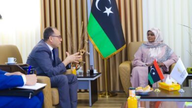 وزيرة الثقافة تلتقي سفير تونس